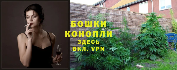 трава Алзамай
