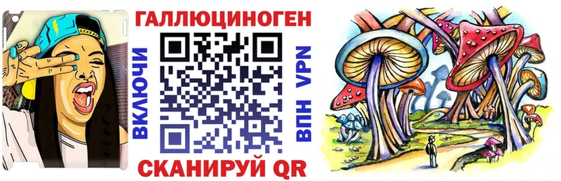 Псилоцибиновые грибы Psilocybine cubensis  где можно купить   Минусинск 