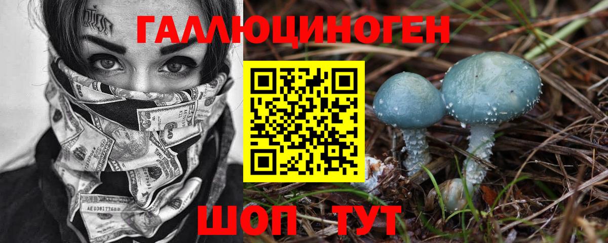 Галлюциногенные грибы GOLDEN TEACHER  Вход с VPN  Минусинск 